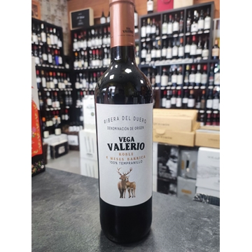 Vega valerio roble - Imagen 1