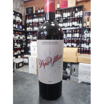 Yllera 9 meses D.O. RIBERA DEL DUERO - Imagen 1